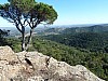 20131107StMicheldeLlotes4.jpg